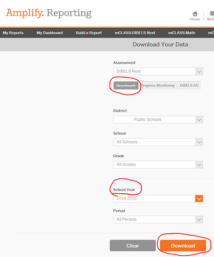 the Benchmark and School Year options and the Download button